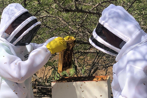 Aruba: Cunucu Bee Adventure Tour with Honey Tasting