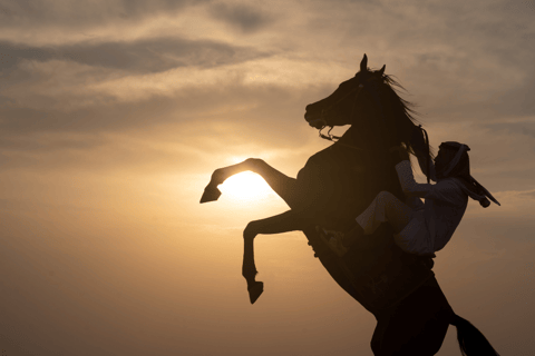 Reite durch die Dünen: Wüstenabenteuer zu Pferd in Doha