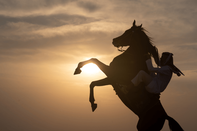 Reite durch die Dünen: Wüstenabenteuer zu Pferd in Doha