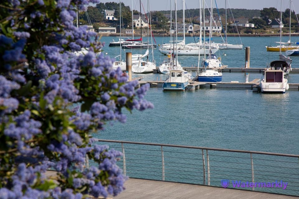 Tour Carnac Megalithische Wonderen En La Trinite Sur Mer Getyourguide