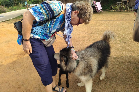 Chiang Rai: Mountains Discovery Doi Mae Salong & Doi Tung Mountains Discovery:Doi Mae Salong & Doi Tung (Private Tour)