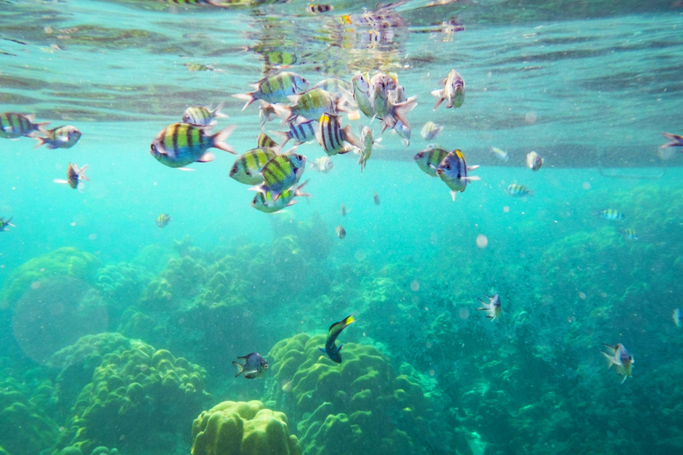 Ko Lanta: Excursión Única de Snorkel en 4 Islas de Cola Larga con AlmuerzoTour privado