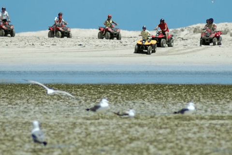 杰尔巴岛：双人四轮越野探险——1.5小时的刺激之旅杰尔巴岛：双人四轮越野探险——1.5小时的刺激体验