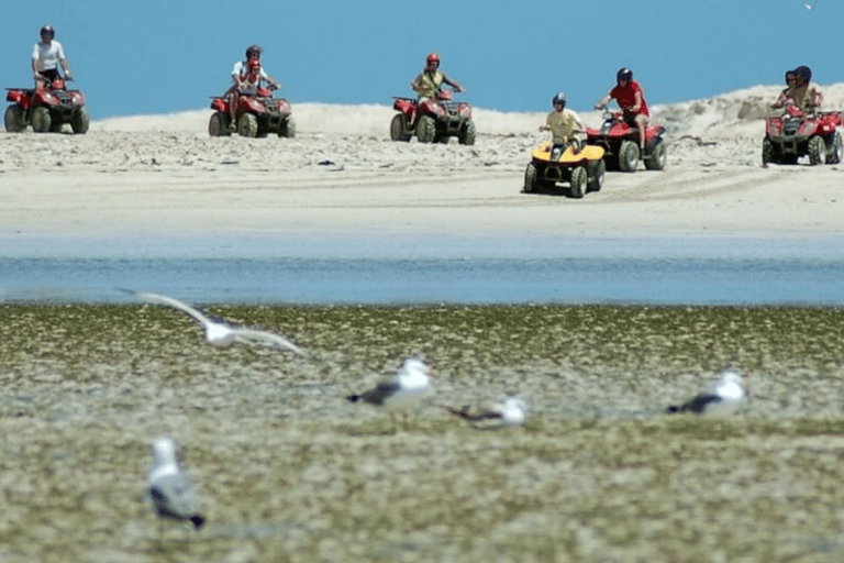 杰尔巴岛：双人四轮越野探险——1.5小时的刺激之旅杰尔巴岛：双人四轮越野探险——1.5小时的刺激体验