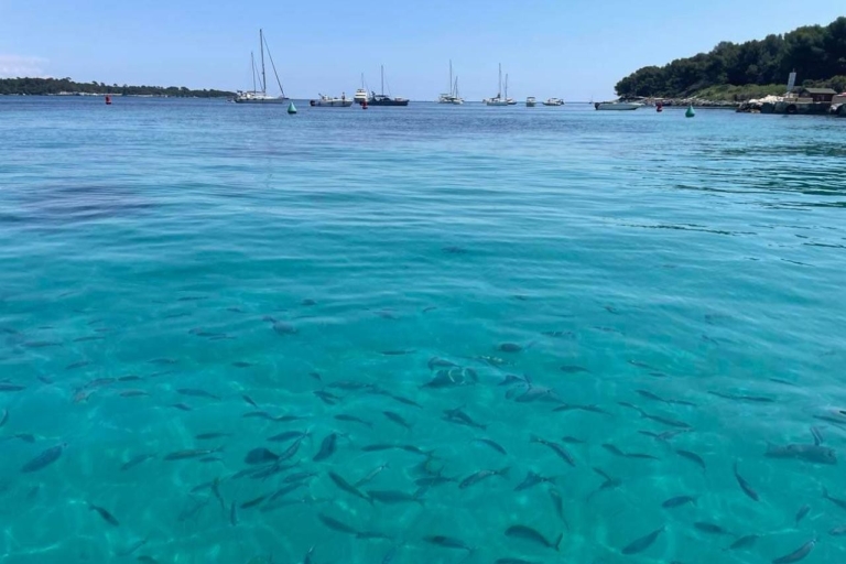 Cannes : Promenade en bateau sans permis vers les îles de Lérins