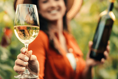 Visite privée de luxe : Sites antiques de Némée et dégustation de vin