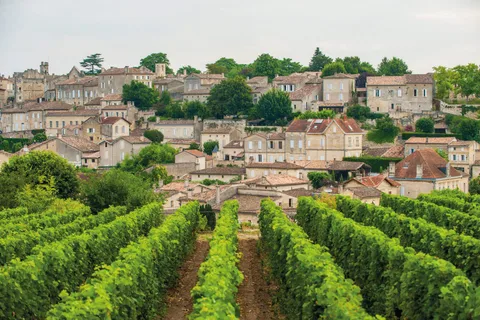 Saint-Emilion de día completo: Pueblo, subterráneos y castillos