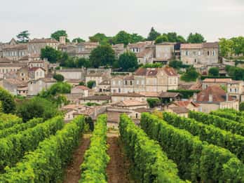Full-day Saint-Emilion: Village, Undergrounds and Châteaux