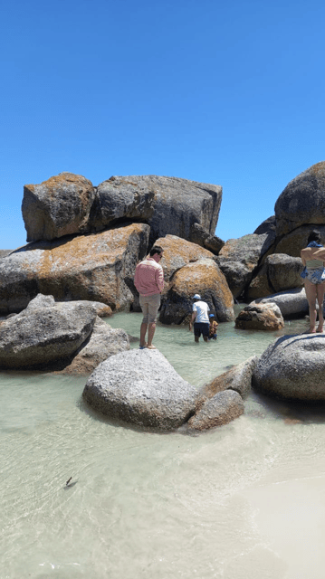 Kaapstad Pingu Ns Kijken Bij Boulders Beach Halve Dag Tour Getyourguide