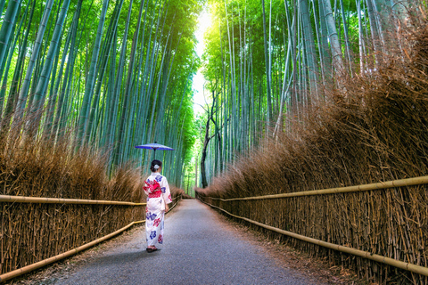Kyoto: Private Special Autumn Full-Day Guided Vehicle Tour