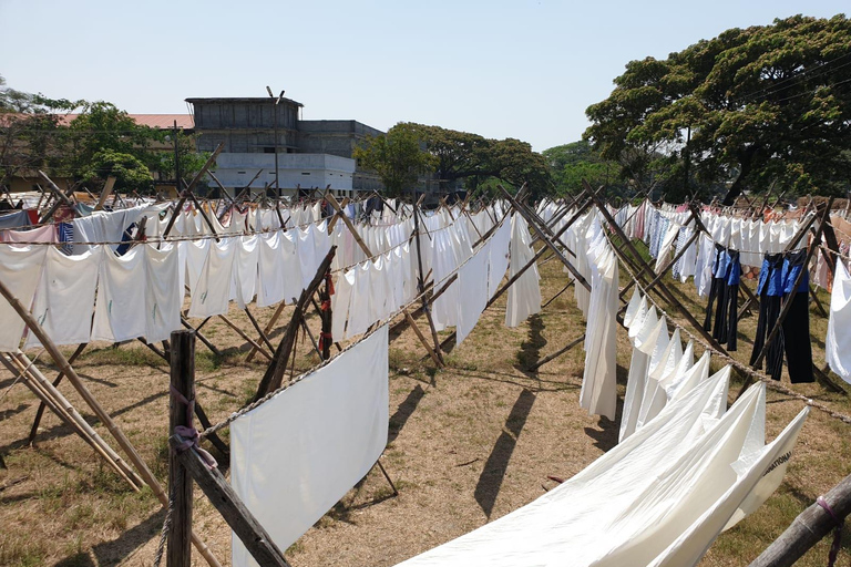 Hidden Tales of Old Kochi-Heritage Walk with a Local Insider