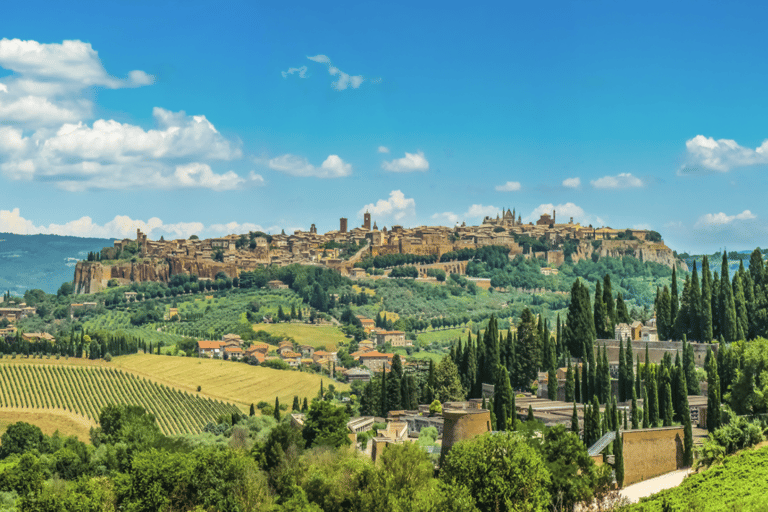 From Florence: Montepulciano, Pienza e Montalcino From Florence: Montepulciano, Pienza e Montalcino