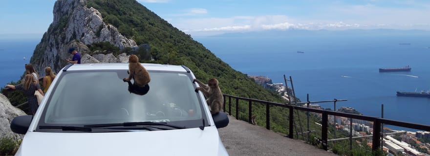 Visite de Gibraltar : excursion privée classique avec un habitant
