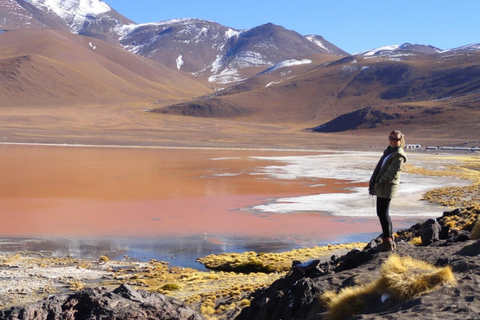 Von Uyuni aus: Laguna Colorada und Salar de Uyuni 3-Tage + MahlzeitenSpanische Tour (Option 1)