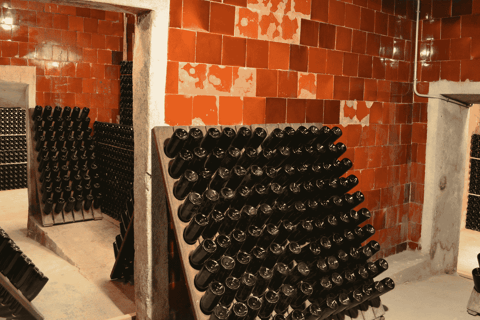 Tarragona: Tour of an underground winery with a tasting of 6 cavas and 6 wines Guided visit in English