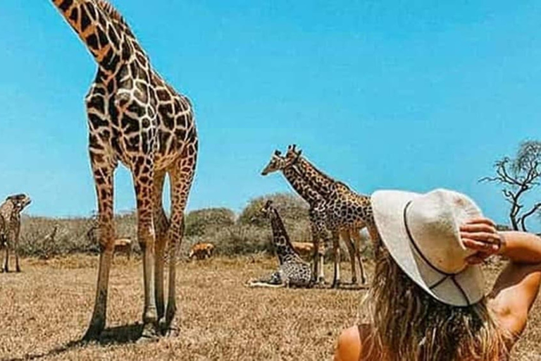 Mombasa: Half-Day Haller Park Giraffes Feeding Experience