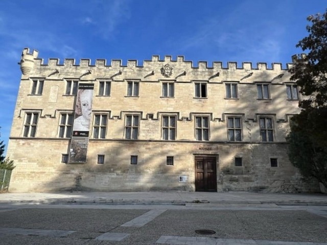 Visit Avignon All About Avignon Tour in Les Angles, France