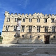 Avignon: Alles über Avignon Tour
