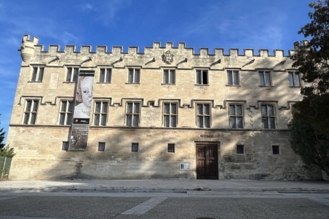 Avignon: All About Avignon Tour Guided tour in French