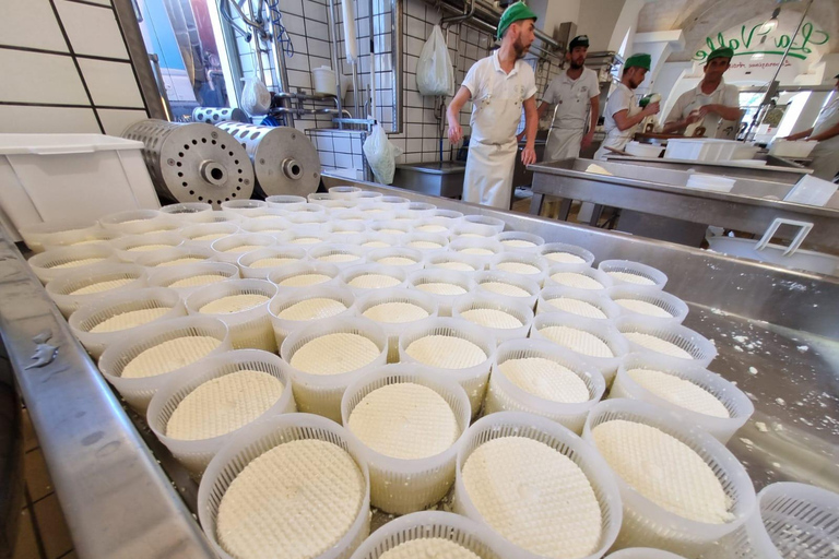 e-bike ring tour between Locorotondo and Martina Franca e-bike tour Locorotondo, Martina Franca and visit to a dairy