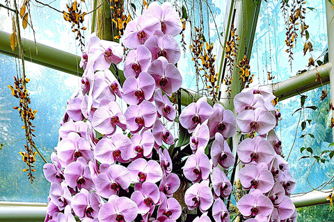 Singapore: Unravel Hidden Gems in a Private Customized Tour Private Customized Tour - 2 hours
