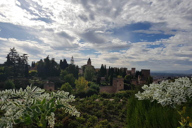 Alhambra: szybkie zwiedzanie ogrodów Generalife i AlcazabyAlhambra: ogrody Generalife i Alcazaba w trybie przyspieszonym