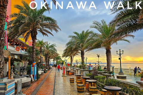 Okinawa Tour: Shurijo Castle, Cape Manza, Kouri &amp; Aquarium