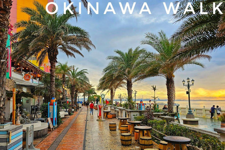 Okinawa Tour: Shurijo Castle, Cape Manza, Kouri &amp; Aquarium