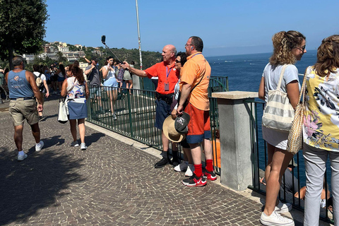 Pompei e Sorrento privato con guida e trasferimento