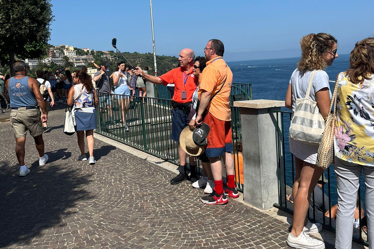 Pompei e Sorrento privato con guida e trasferimento