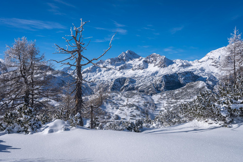 From Ljubljana/Bled: Beginner Snowshoe in Julian Alps From Bled - pickup at your accommodation