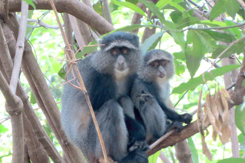 5 Days Join Group Big 5 Exploration