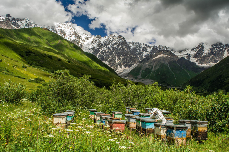 Tbilisi: Georgian Military Road and Mountain Kazbegi