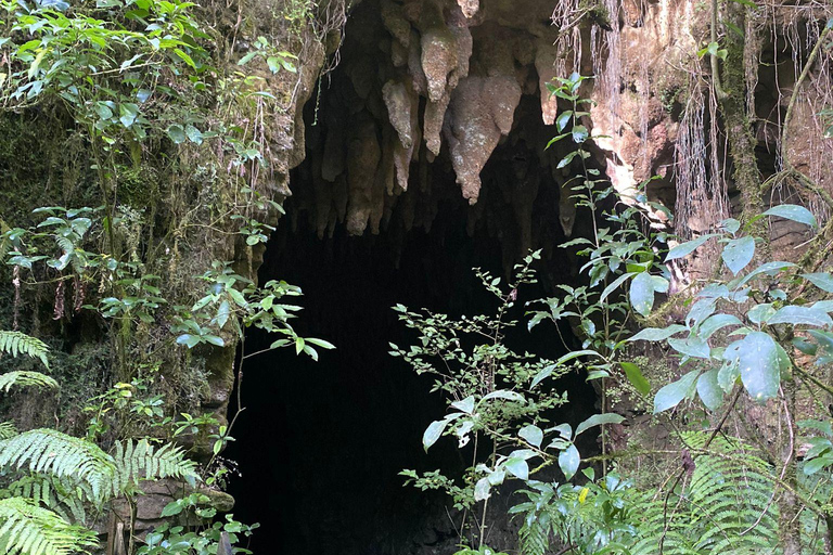 Da Auckland Waitomo Glowworm &amp; Cave Explorer Tour Privato