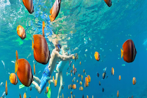 Bayahibe: Catalina Island Scuba Diving Tour with Lunch