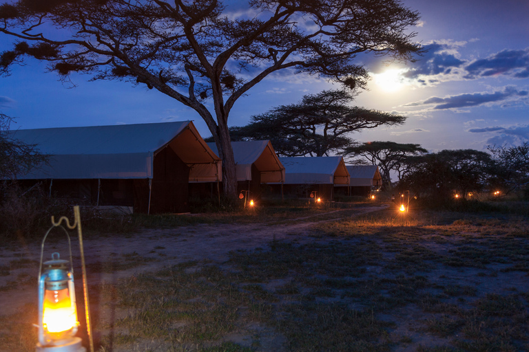 From Zanzibar: 2-Day Selous Safari with Flights & Lodge Stay 2-Day Selous Safari - Without Transfer