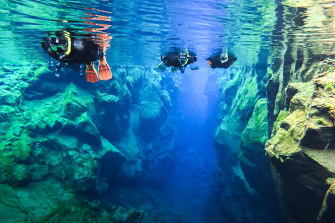 Reykjavík: Silfra-sprickan Snorkling mellan två kontinenterMöte vid Thingvellir nationalpark