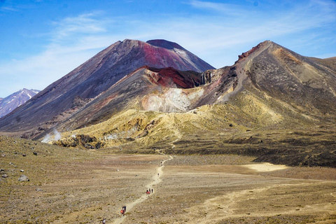 Privétransfer naar Tongariro Alpine Crossing vanuit Auckland