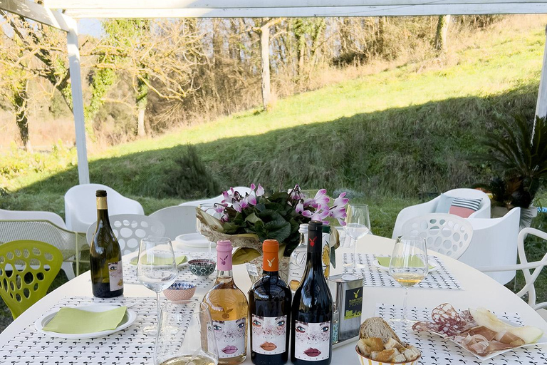 San Miniato: esperienza di degustazione di vino e olio extravergine di oliva biologiciSan Miniato: degustazione di vino e olio extravergine biologici