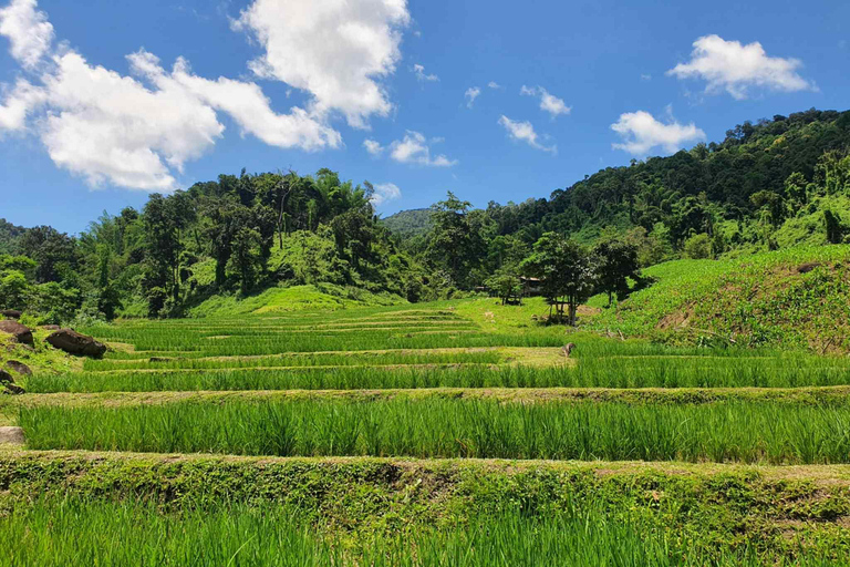 Chiang Rai: Lahu Village Trek, Waterfall & Hot Springs