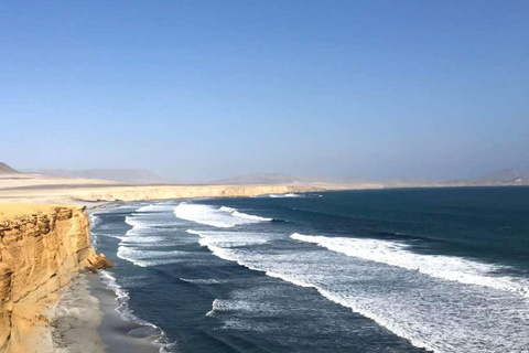 Paracas : Ballestas Islands & Paracas Reserve - Full Day