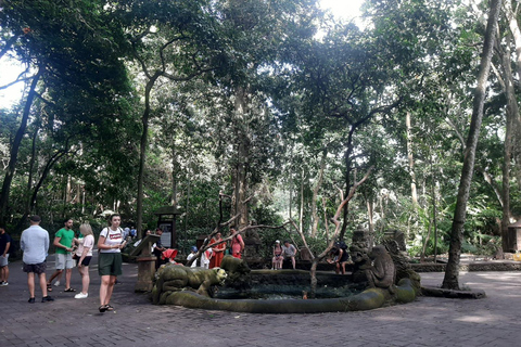 Ubud: foresta delle scimmie, terrazzamenti di riso e cascata