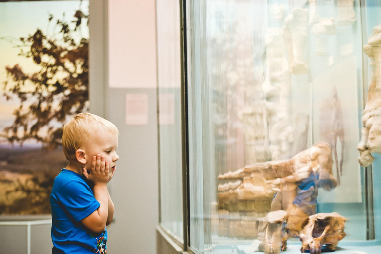 Prywatna wycieczka z przewodnikiem po Muzeum Morza w Punta del Este