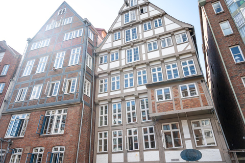 Hamburg: Historic WW2 Walking Tour & Panorama in Small Group