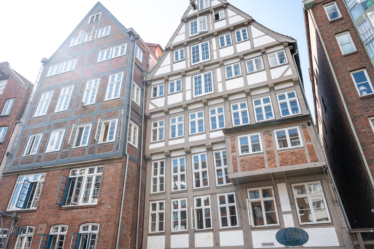 Hamburg: Historic WW2 Walking Tour & Panorama in Small Group