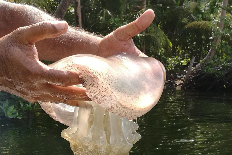 Koggala Lake Private Boat Tour with Dinesh