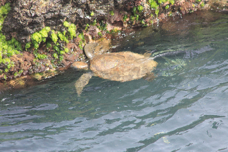 Boavista - wycieczka na południe (pół dnia)Wycieczka na południe - pół dnia