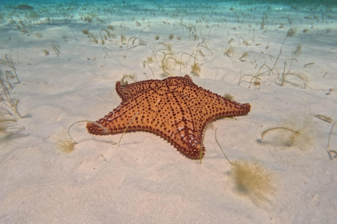 Tour to Cozumel to the amazing beach el cielo