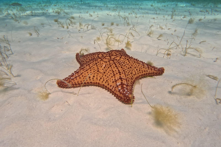 Tour to Cozumel to the amazing beach el cielo