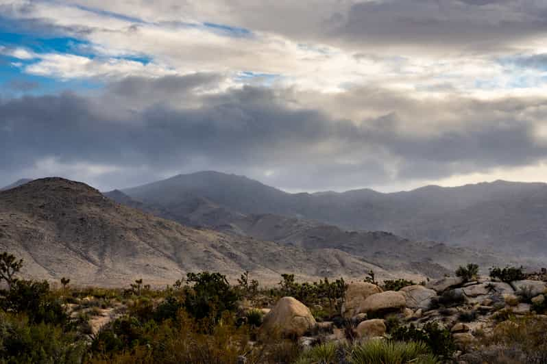 Palm Springs Joshua Tree Selbstgef Hrte Touren Durch Den